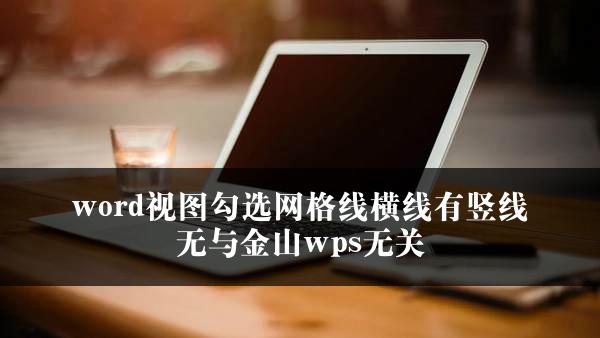 word视图勾选网格线横线有竖线无与金山wps无关