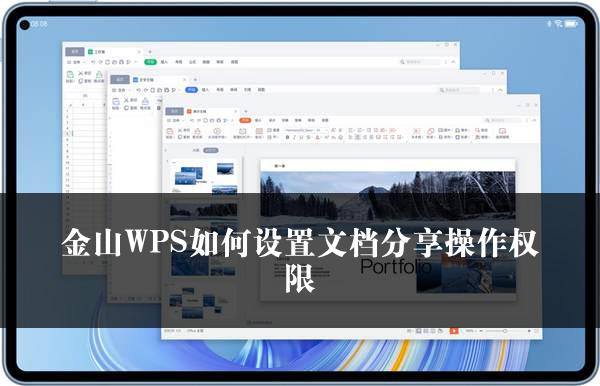 金山WPS如何设置文档分享操作权限