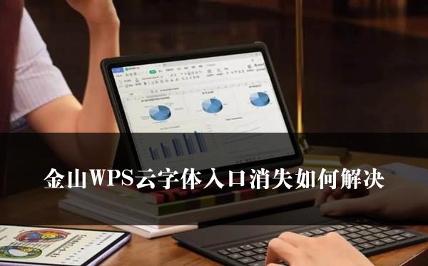 金山WPS云字体入口消失如何解决