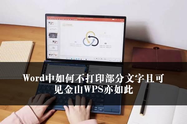 Word中如何不打印部分文字且可见金山WPS亦如此