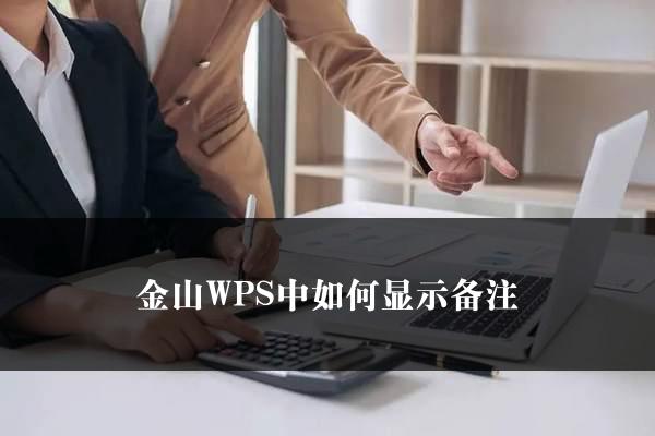 金山WPS中如何显示备注