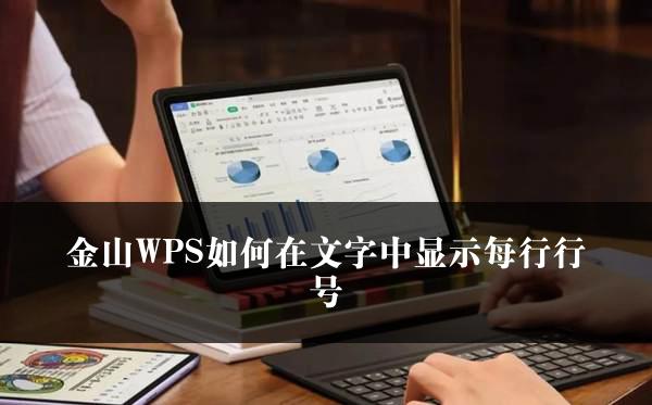 金山WPS如何在文字中显示每行行号