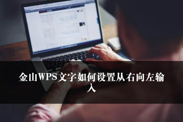 金山WPS文字如何设置从右向左输入