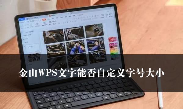 金山WPS文字能否自定义字号大小