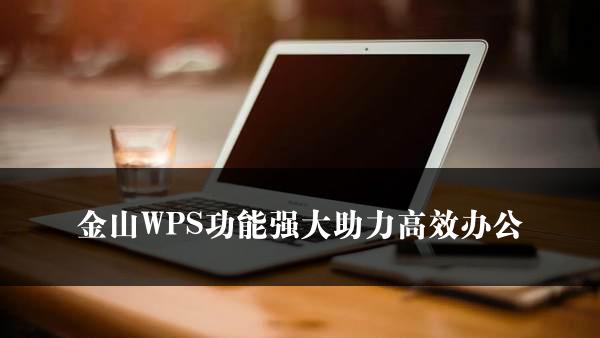 金山WPS功能强大助力高效办公