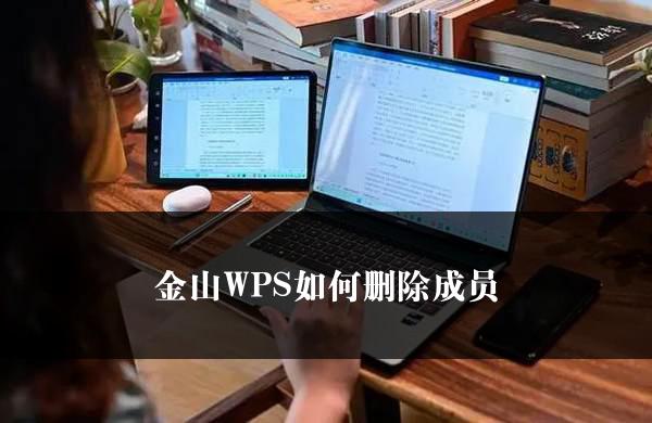 金山WPS如何删除成员