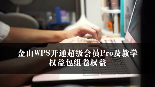 金山WPS开通超级会员Pro及教学权益包组卷权益