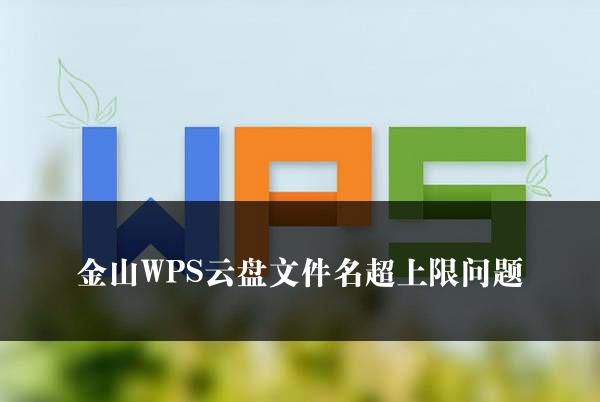 金山WPS云盘文件名超上限问题