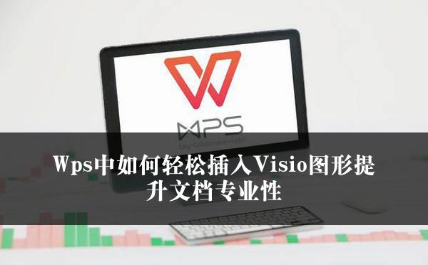 Wps中如何轻松插入Visio图形提升文档专业性