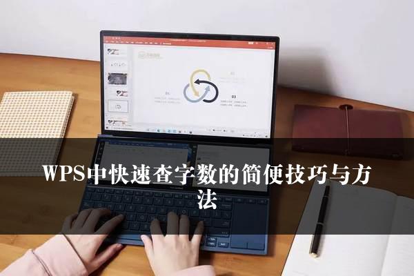 WPS中快速查字数的简便技巧与方法