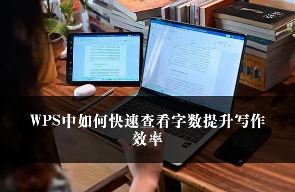 WPS中如何快速查看字数提升写作效率