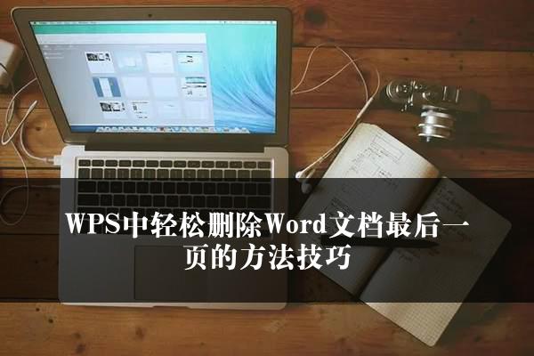 WPS中轻松删除Word文档最后一页的方法技巧