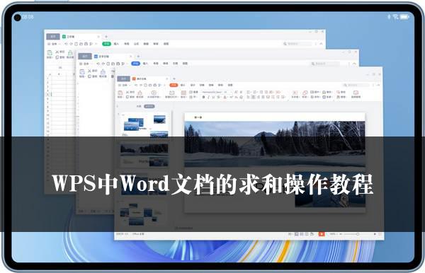 WPS中Word文档的求和操作教程