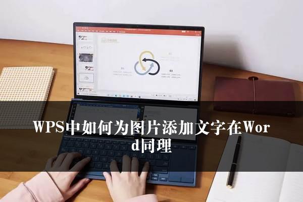 WPS中如何为图片添加文字在Word同理