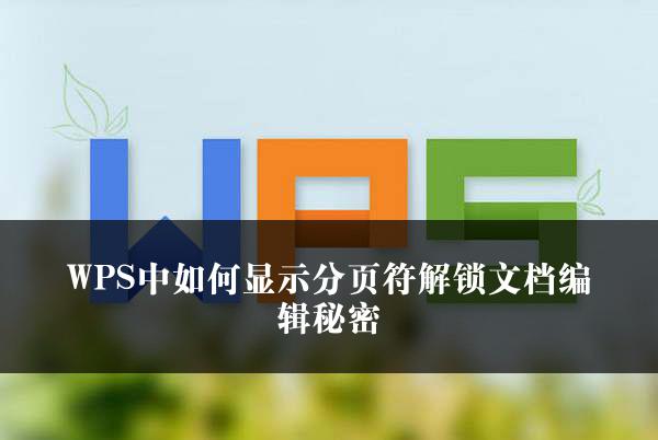 WPS中如何显示分页符解锁文档编辑秘密