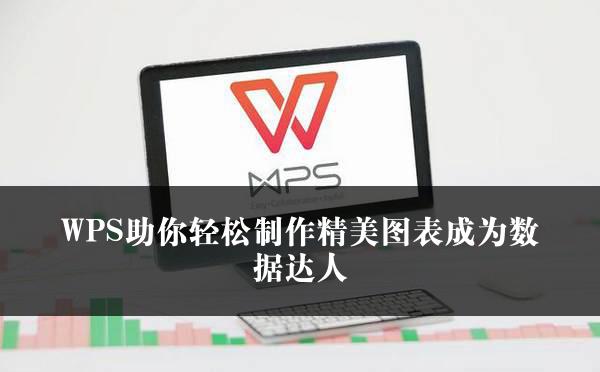 WPS助你轻松制作精美图表成为数据达人