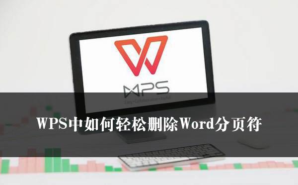 WPS中如何轻松删除Word分页符