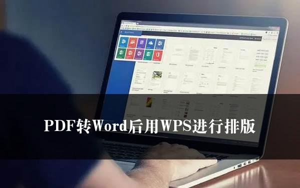 PDF转Word后用WPS进行排版