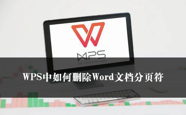 WPS中如何删除Word文档分页符