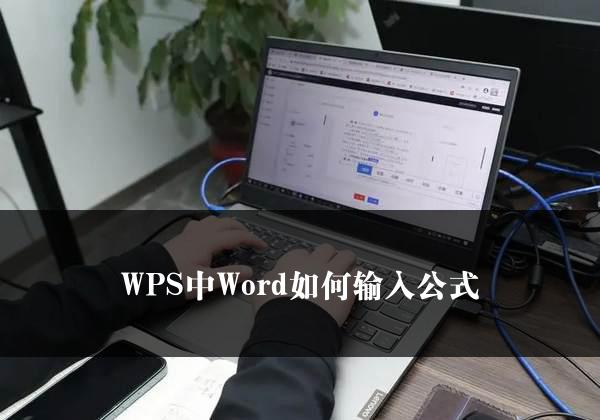 WPS中Word如何输入公式