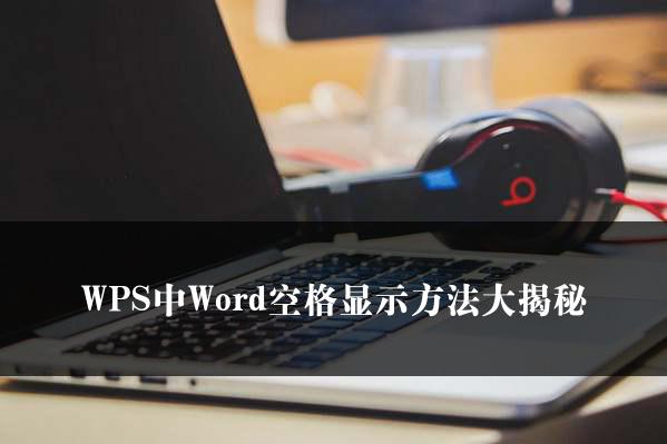 WPS中Word空格显示方法大揭秘