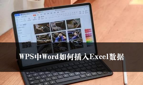 WPS中Word如何插入Excel数据