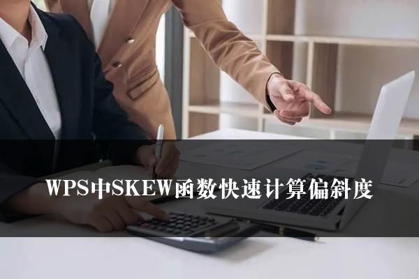 WPS中SKEW函数快速计算偏斜度