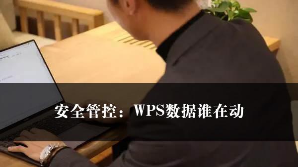 安全管控：WPS数据谁在动