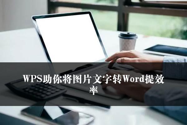 WPS助你将图片文字转Word提效率