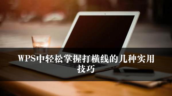 WPS中轻松掌握打横线的几种实用技巧